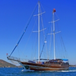 Aleyna 3 Kiralık Tekne Yat Gulet Mavi Yolculuk Tur