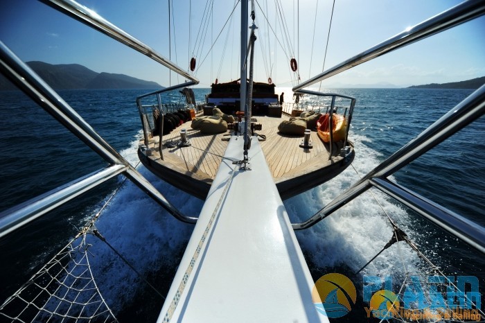 Deniz Felix Balina Kiralık Gulet Yat Tekne Mavi Yolculuk