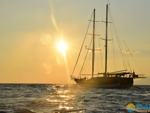 Kayhan 8 Kiralık Gulet Yat Tekne Mavi Yolculuk Tur