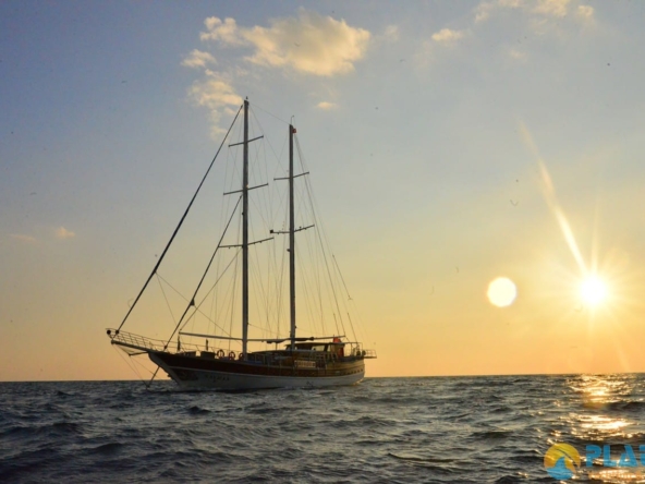 Kayhan 8 Kiralık Gulet Yat Tekne Mavi Yolculuk Tur