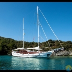 Kiralık Smile Gulet Yat Tekne Mavi Yolculuk