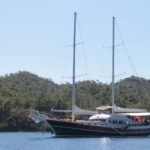 Miss Vela Kiralik Gulet Yat Tekne Mavi Yolculuk Tur