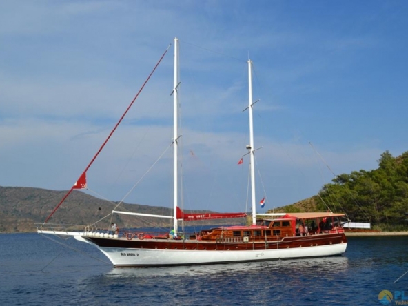 Sea Angel Kiralık Yat Tekne Gulet Mavi Yolculuk Tur