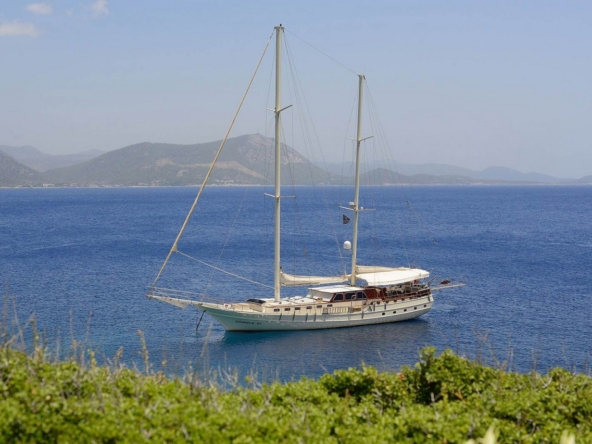 Cobra 3 Gulet ile Bodrum’dan başlayarak Ege ve Akdeniz’de lüks Mavi Tur deneyimi yaşayın. 24m, 6 kabinli, modern konfor ve su sporları ile ideal seçim.