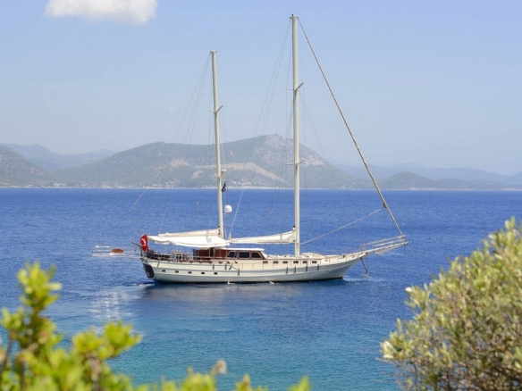 Cobra 3 Gulet ile Bodrum’dan başlayarak Ege ve Akdeniz’de lüks Mavi Tur deneyimi yaşayın. 24m, 6 kabinli, modern konfor ve su sporları ile ideal seçim.