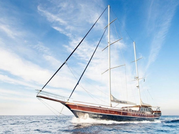 Ege ve Akdeniz’in saklı koylarında 5 kabinli Cobra King Gulet ile özel ve lüks bir mavi tur deneyimi. Profesyonel 6 kişilik mürettebat eşliğinde unutulmaz bir deniz tatili.