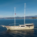 Holiday 5 gulet, 10 kabin ve 20 kişilik kapasitesiyle kalabalık gruplar için ideal mavi tur sunar. Güncel fiyatlar ve dahil hizmetler için Platin Yatçılık.