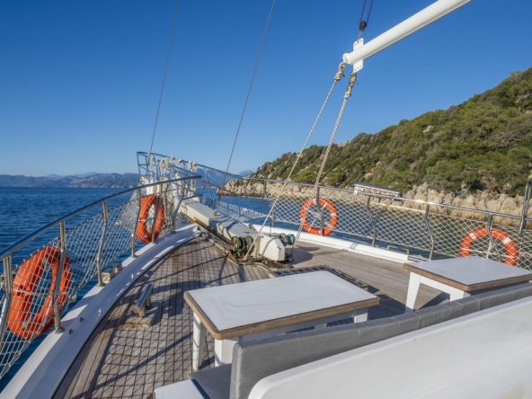 Holiday 5 gulet, 10 kabin ve 20 kişilik kapasitesiyle kalabalık gruplar için ideal mavi tur sunar. Güncel fiyatlar ve dahil hizmetler için Platin Yatçılık.