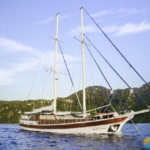 Wicked Felina Yacht Gulet Caicco