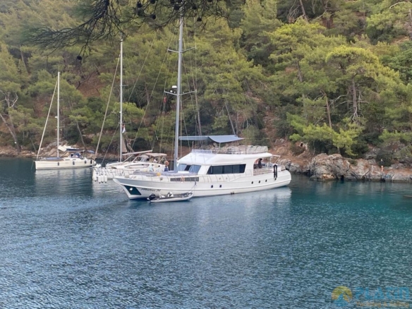 Albatros m Gulet