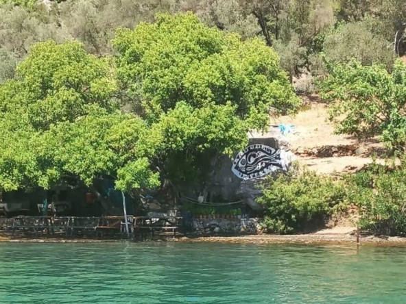 Bedri Rahmi koyu