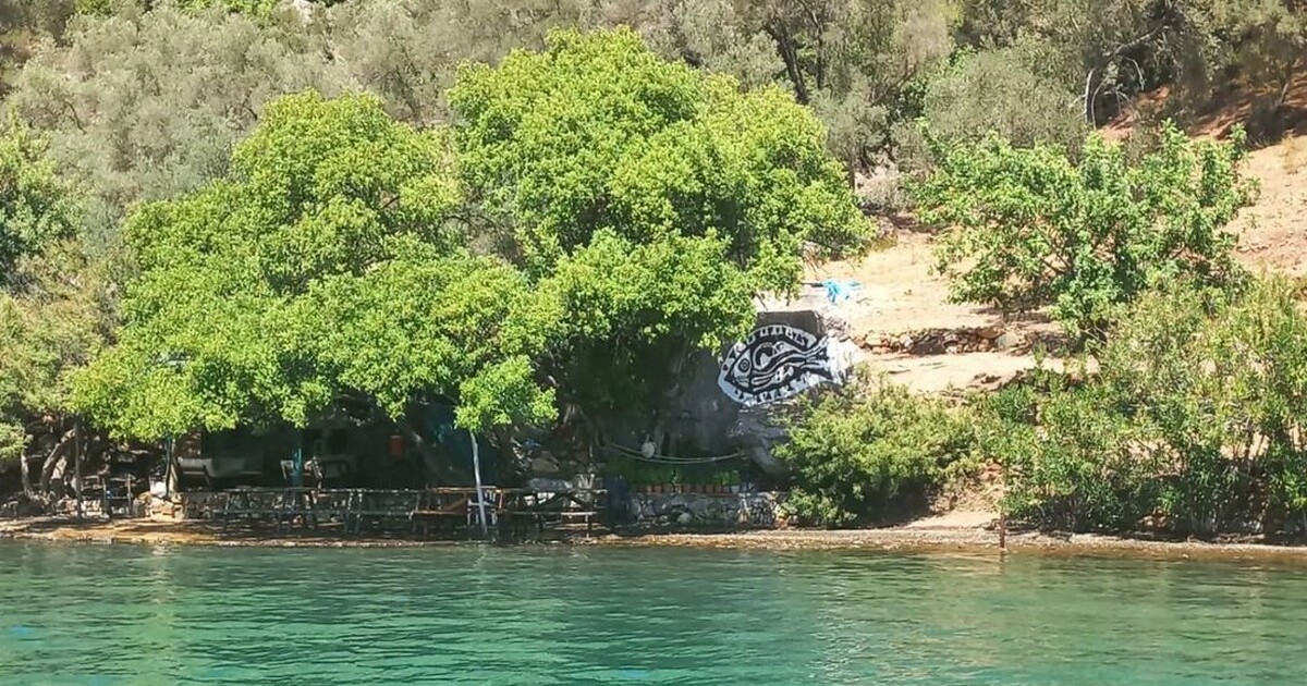 Bedri Rahmi koyu